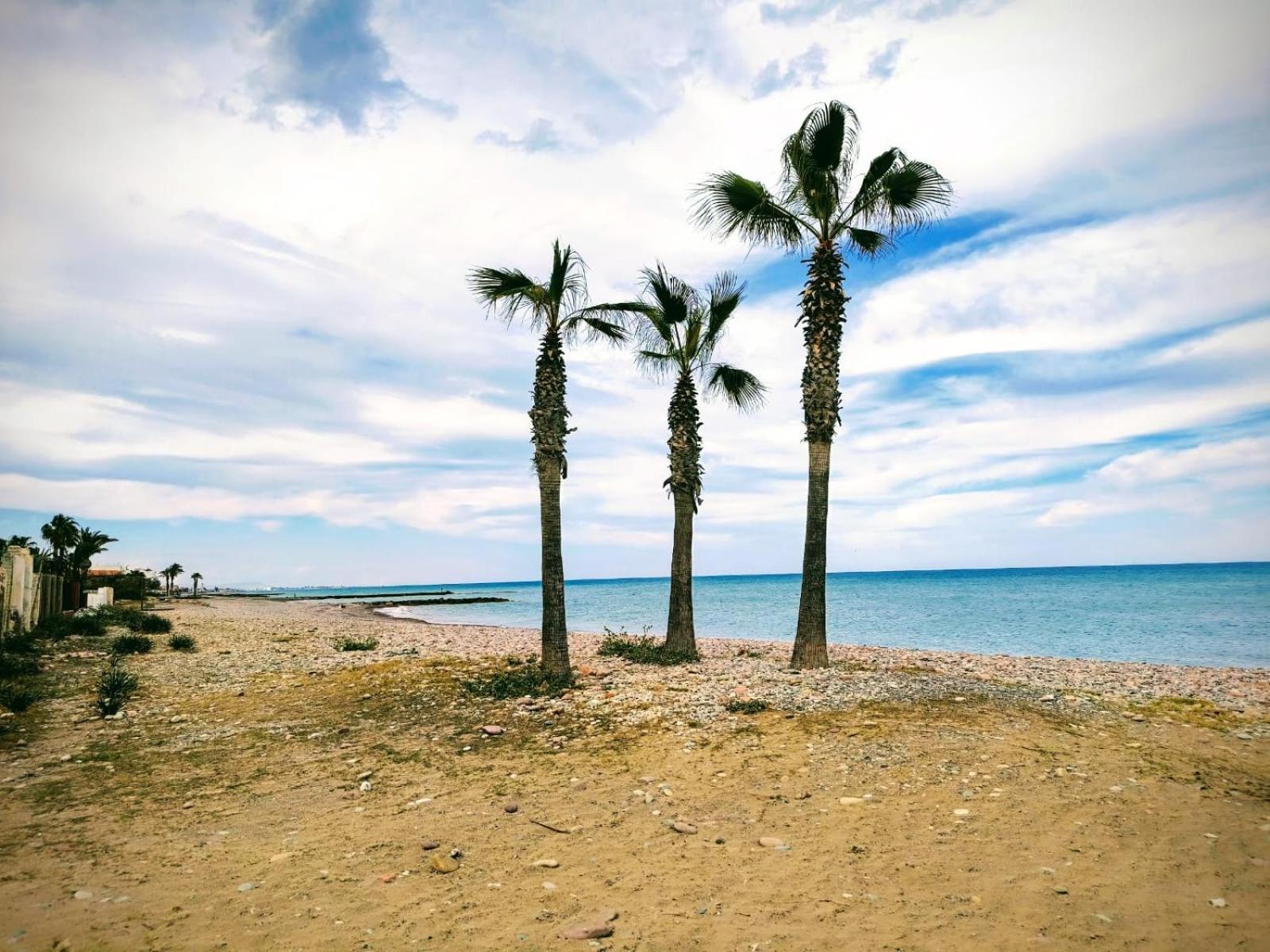 Apartamento Cerca De La Playa 몬코파르 외부 사진